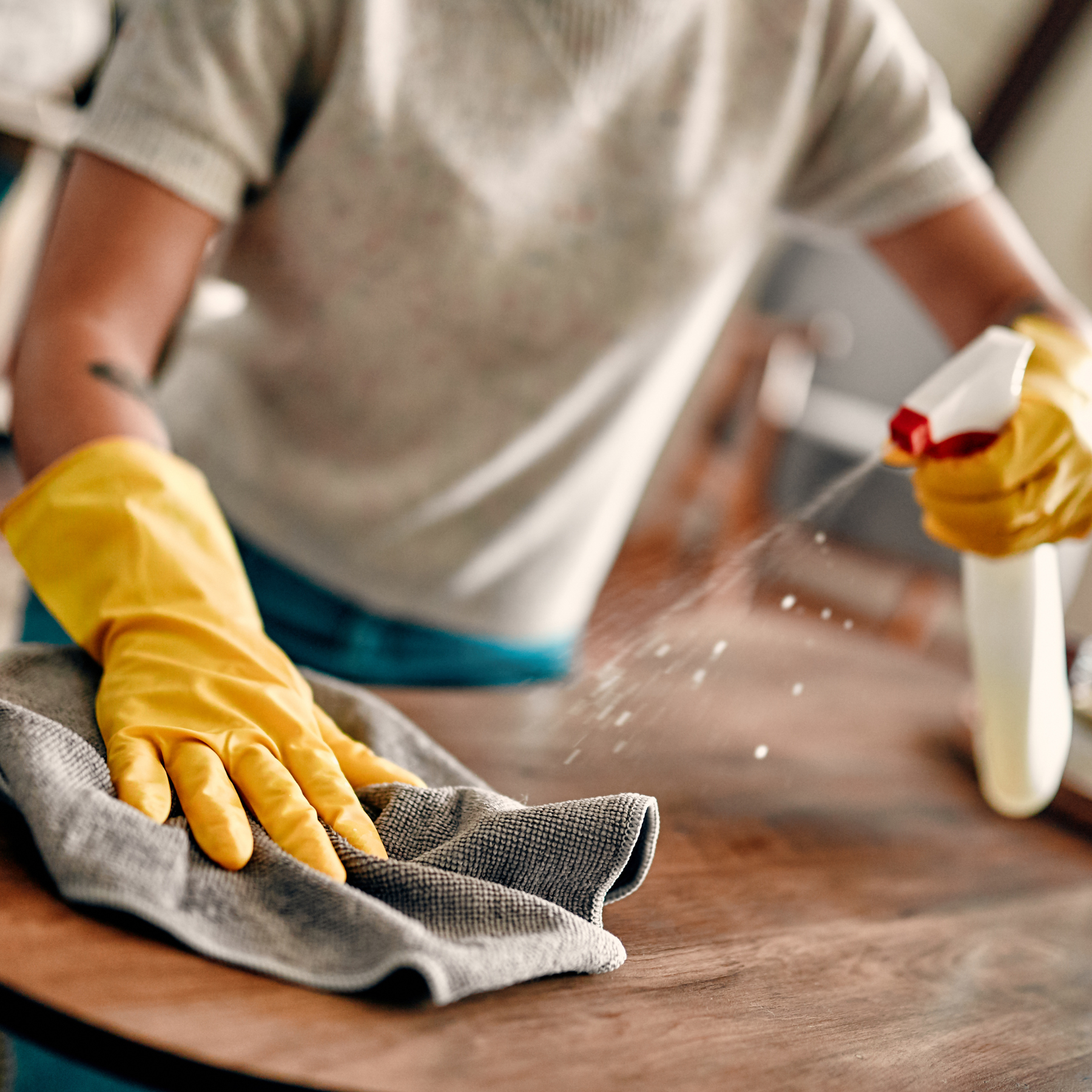 Professional Cleaning Services Transform Your Living Space